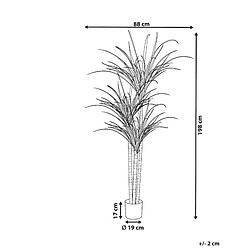 Avis Beliani Plante artificielle DRACAENA ANITA 198 cm