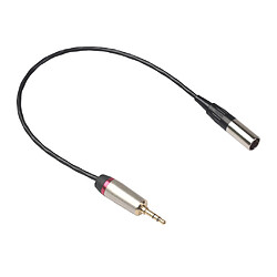 Câble De Transfert Audio Stéréo D'appareil Photo TRS Mâle De 3,5 Mm Au Câble XLR Noir 0.3m