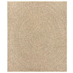 Avis vidaXL Tapis ZIZUR 240x340 cm aspect de jute intérieur et extérieur