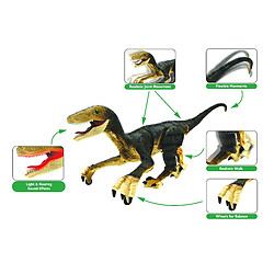 Avis Lexibook Dinosaure Velociraptor télécommandé