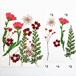 Avis Pressé De Fleurs Séchées De Vraies Feuilles Pour Bricolage Bijoux En Résine Artisanat Rouge