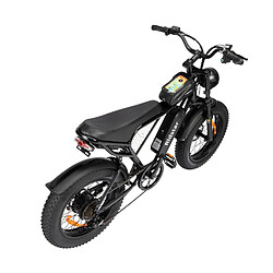 Acheter Vélo Électrique Ridstar Q20 - Moteur 500W Batterie 48V15Ah Pneus 20" Freins à Disque Mécaniques - Noir