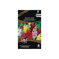 Sanrival Graines de fleurs premium muflier madame butterfly 