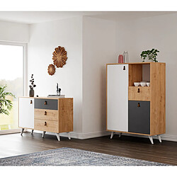 Acheter EPIKASA Armoire à Usages Multiples Pera