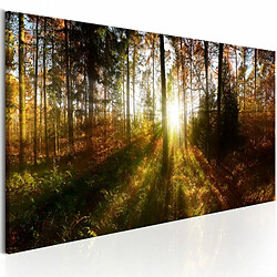 Paris Prix Tableau Imprimé Beautiful Forest 40 x 120 cm