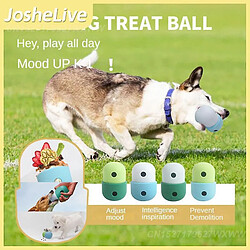 Jouets Pour Chiens En Silicone De qualité alimentaire Jouets Anti-fuites Pour Animaux De Compagnie Faciles à Nettoyer Animal détachable Résistant Aux Rayures