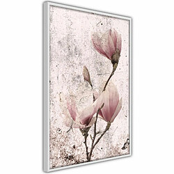 Paris Prix Affiche Murale Encadrée Queen of Spring Flowers II 20 x 30 cm Blanc