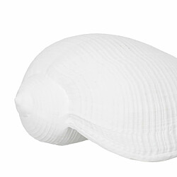 Avis BigBuy Home Figurine Décorative Blanc Conque 15 x 7 x 5 cm