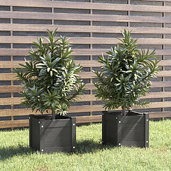 vidaXL Jardinières d'extérieur 2 pcs Gris 31x31x31 cm Bois de pin