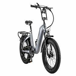 Acheter Vélo Électrique FAFREES F20 Master - Moteur 500W Batterie 1080WH Autonomie 110KM - Gris bronze