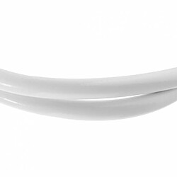 Flexible de Douche en PVC 150cm Blanc