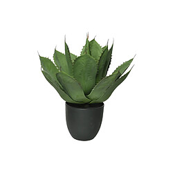 Kaemingk Agave parrasana en pot plastique - Nos Envies Déco