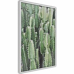 Paris Prix Affiche Murale Encadrée Cactus Plantation 20 x 30 cm Blanc