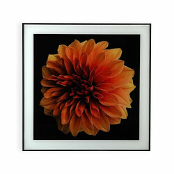 Cadre Versa Fleur Verre polystyrène (2 x 60 x 40 cm)