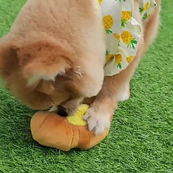 Acheter Jouets pour chien avec cloche à l'intérieur pour aller chercher la nourriture.