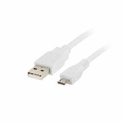 Câble Micro USB Lanberg Blanc - 0,3 m