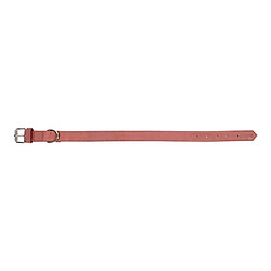 Avis Collier pour Chien Gloria Oasis Rose (1,5 x 40 cm)