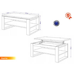 Acheter Dusine TABLE BASSE NUOMA BOIS / GRIS RELEVABLE 65X110