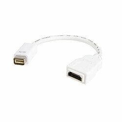 Startech Adaptateur Mini-DVI vers HDMI (Mâle/Femelle) - 20 cm