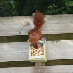 Best For Birds Mangeoire ecureuil en bois et zinc.