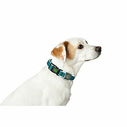 Avis Collier pour Chien Hunter Turquoise 12