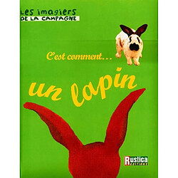 C'est comment... un lapin - Occasion