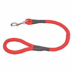 Paris Prix Laisse Ronde pour Chien Essentiel 60cm Rouge