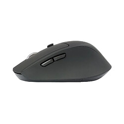 Conceptronic LORCAN02B Ergo mouse