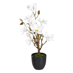 Plante & fleur artificielle BigBuy Home