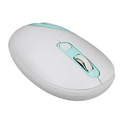 Avis Souris sans fil pour ordinateur portable