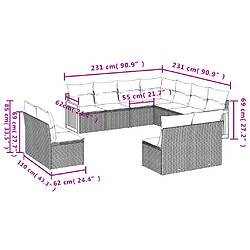 Avis vidaXL Salon de jardin 11 pcs avec coussins noir résine tressée