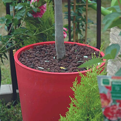 Jardinex Pouzzolane rouge 6... - Marron