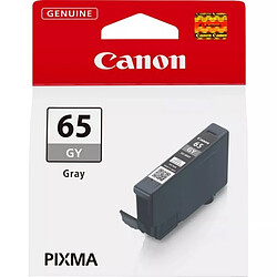 Cartouche d'encre Canon 65 Gris 4219C001