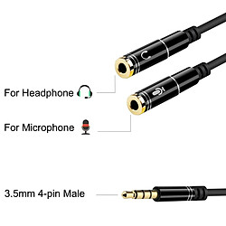 Câble Audio Jack (3,5 mm) Ewent EC1641 30 cm pas cher