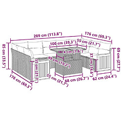 Acheter vidaXL Salon de jardin avec coussins 10 pcs gris résine tressée acacia