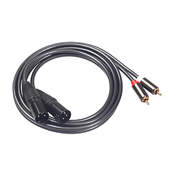 Ligne d\'interconnexion de microphone