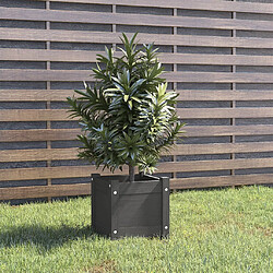 Maison Chic Jardinière,Bac à fleurs - pot de fleur d'extérieur Gris 31x31x31 cm Bois de pin massif -GKD48898