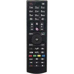 SANAG Rc4849 Rc4870 Rc4875 Telecommande Rechange Pour Jvc Jmb Digihome Polaroid Vestel Finlux Telefunken Tvs Dled48272Fhd Lcd329083Dfhd Cel-32Hdrb16/1 Cel-22Fhddb-16/1 Dled32167Hd