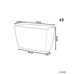 Avis Beliani Lot de 2 pots de fleurs en pierre grise 74 x 32 x 45 cm BARIS