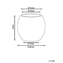 Avis Beliani Vase à fleurs BERGE fait à la main Céramique 19 cm Multicolore