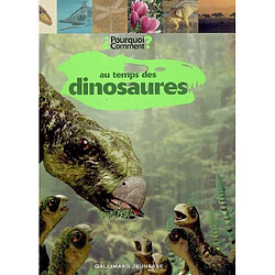 Au temps des dinosaures - Occasion