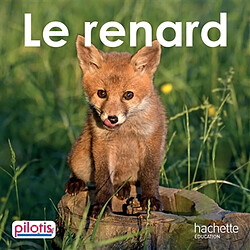 Le renard - Occasion