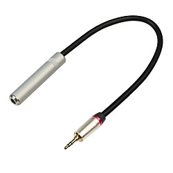 Wewoo Adaptateur Câble audio TC128MF mâle de Jack 3.5mm vers femelle de 6,5 mmlongueur 30 cm