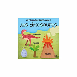 Avis Ludendo Les dinosaures - Livre + Puzzle 40 pièces