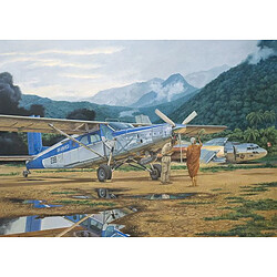 Pilatus PC-6C/H-2 Turbo-Porter - 1:48e - Roden