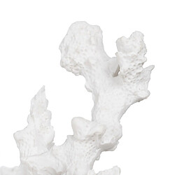 Acheter BigBuy Home Figurine Décorative Blanc Résine Corail 17 x 17 x 20 cm