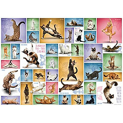 Eurographics Yoga cats Puzzle 1000 piAces