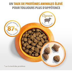 Acheter ANN WILLIAMS Iams - Croquettes pour chat adulte - Agneau néo-zélandais - 10 kg