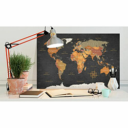 Paris Prix Tableau Imprimé World Map : Secrets of the Earth 40 x 60 cm