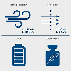 Acheter Souffleur de feuilles sans fil SCHEPPACH C-BL700-X 20V IXES - 2 vitesses - sans batterie ni chargeur